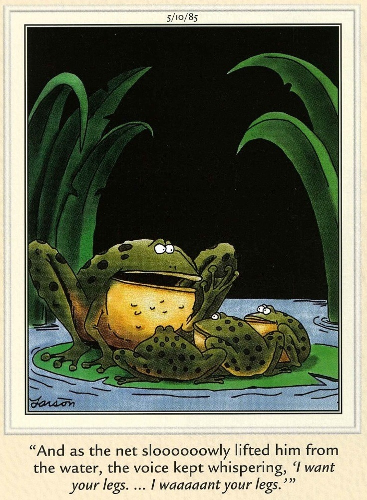 20 Best Far Side Comics That Will Make Your Day Better 3 The Far Side Comics