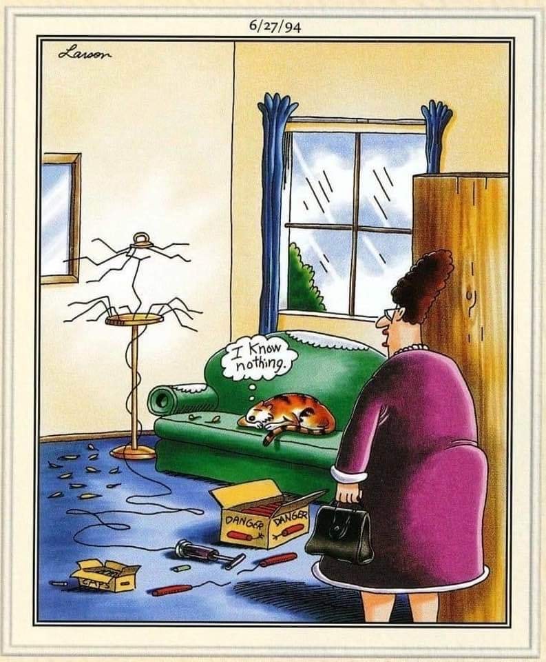 20 Best Far Side Comics That Will Make Your Day Better 5 The Far Side Comics