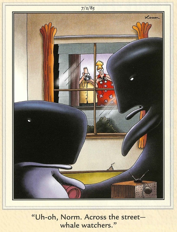 20 Best Far Side Comics That Will Make Your Day Better 8 The Far Side Comics