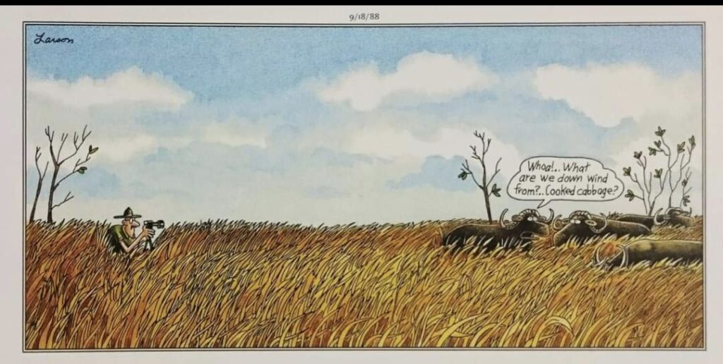 20 Humor Side Best Comics That Will Enhance Your Day 6 The Far Side Comics