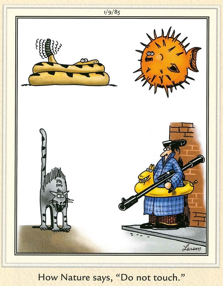 20 Humor Side Best Comics That Will Enhance Your Day 9 The Far Side Comics