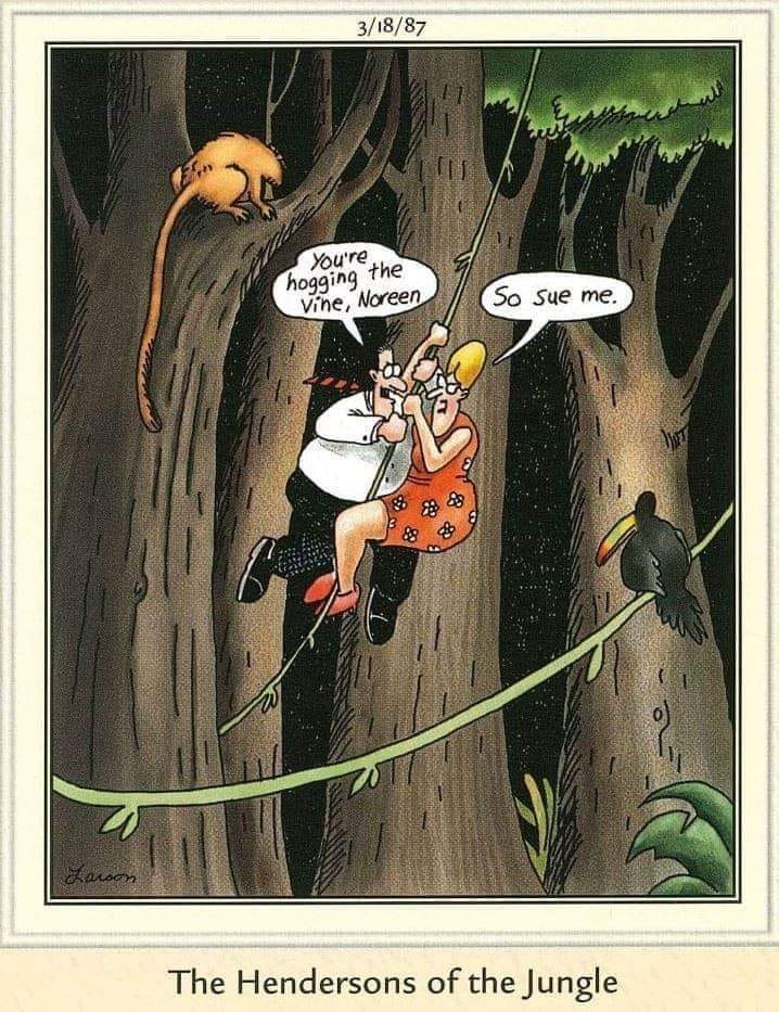 20 Humor Side Best Comics That Will Enhance Your Day 11 The Far Side Comics