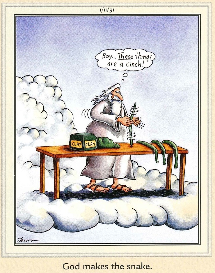 20 Fresh Humor Side Comics Will Brighten Your Day 21 Far Side Comics