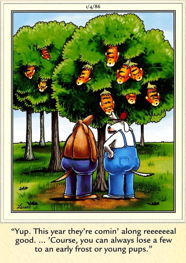 20 Comics May Cause An Uncontrollable Urge To Laugh 9 The Far Side Comics