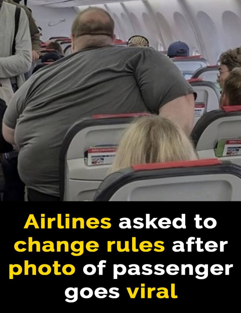 Passenger’s Photo on Denmark Flight Goes Viral—Internet Can’t Stop Talking About It - 2025