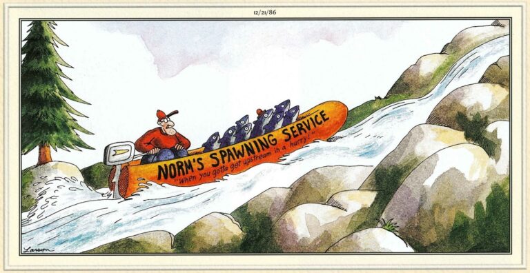 The Far Side 17