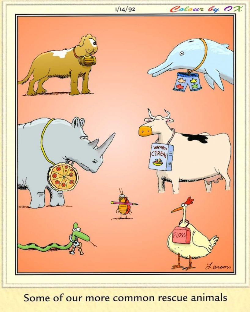 20 Funniest FS Comics To Make Everyone LOL 7 The Far Side Dose 1