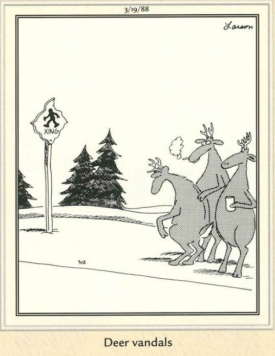 20 Funniest FS Comics To Make Everyone LOL 8 The Far Side Dose 1