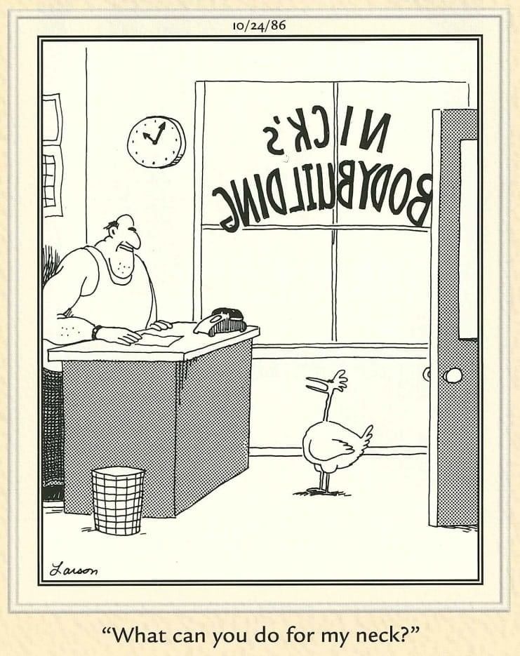 The Far Side Dose 11