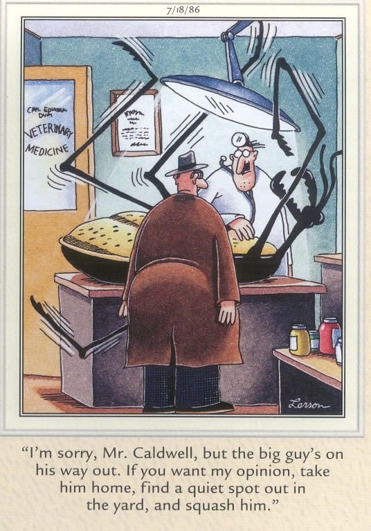 The Far Side Dose 12
