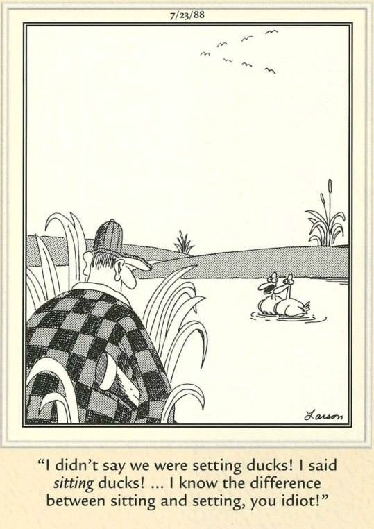 The Far Side Dose 13