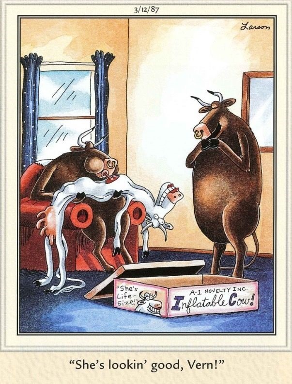 The Far Side Dose 14