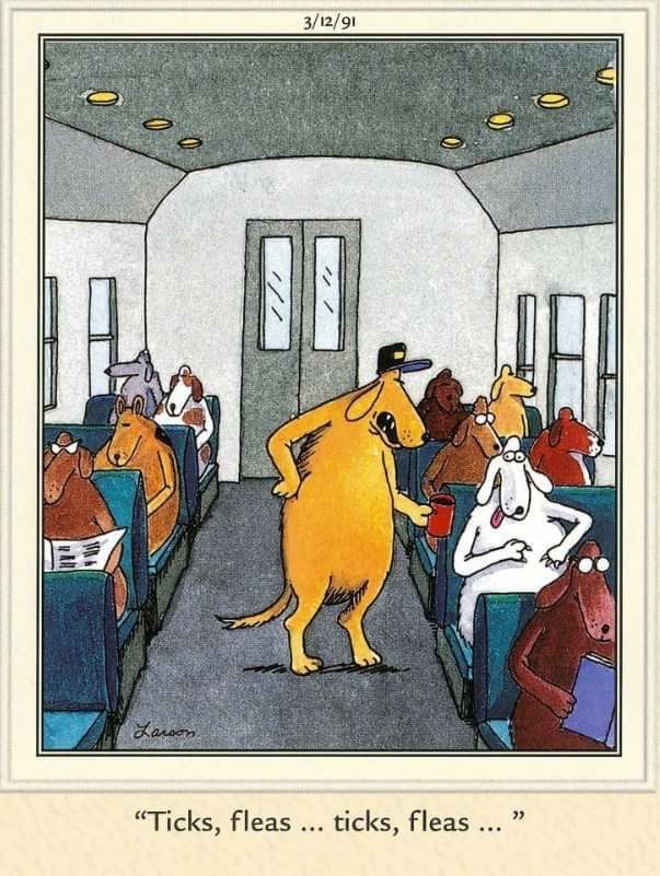 20 Humor Side Comics With A Surprising Spin 8 the far side comics