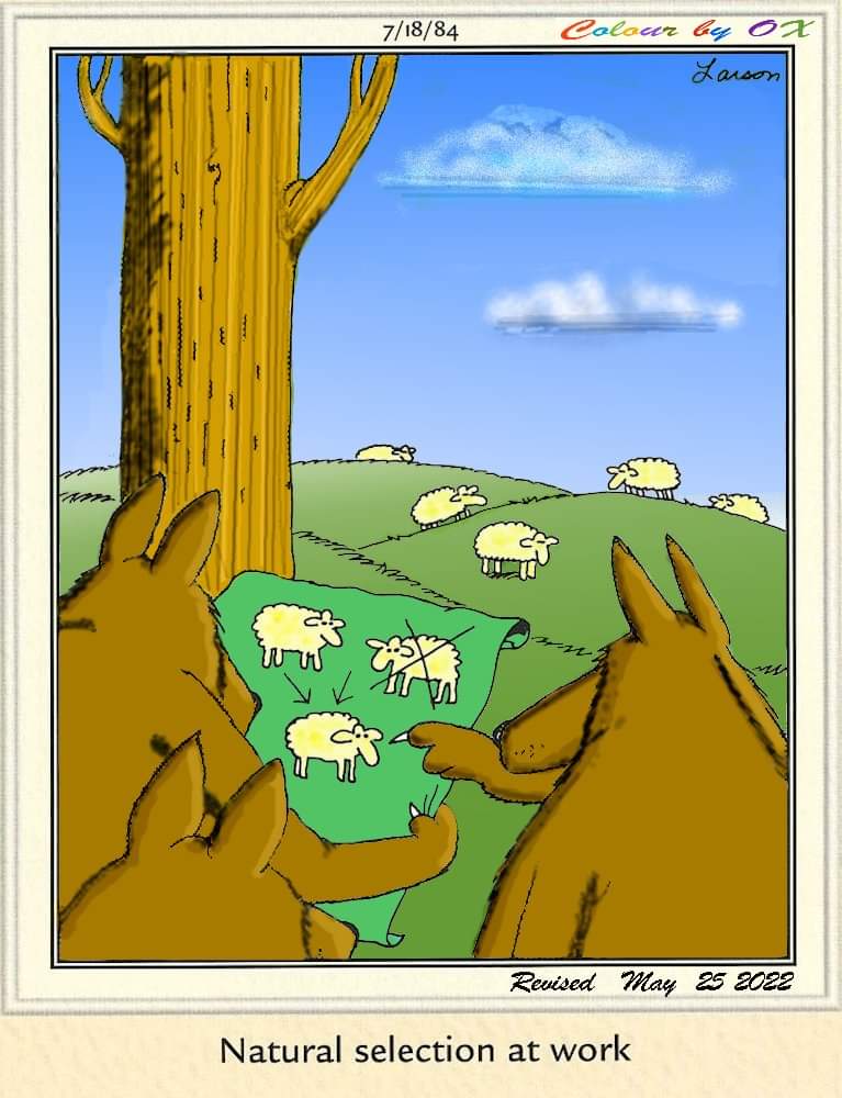20 Funniest FS Comics To Make Everyone LOL 10 The Far Side Dose 2