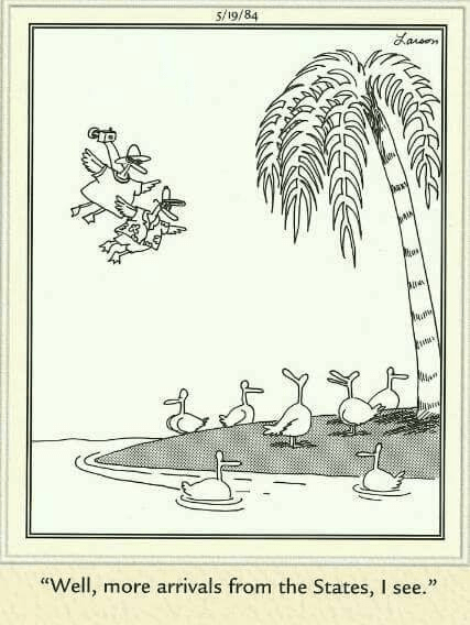 20 Humor Side Comics With A Surprising Spin 6 the far side comics