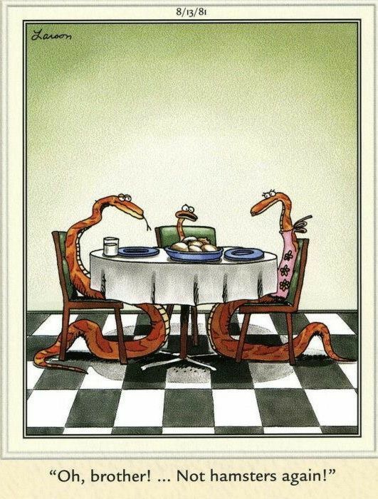 FS Comics: 20 Laugh-Out-Loud Comics You Can’t Miss in This World 9 The Far Side Dose 21