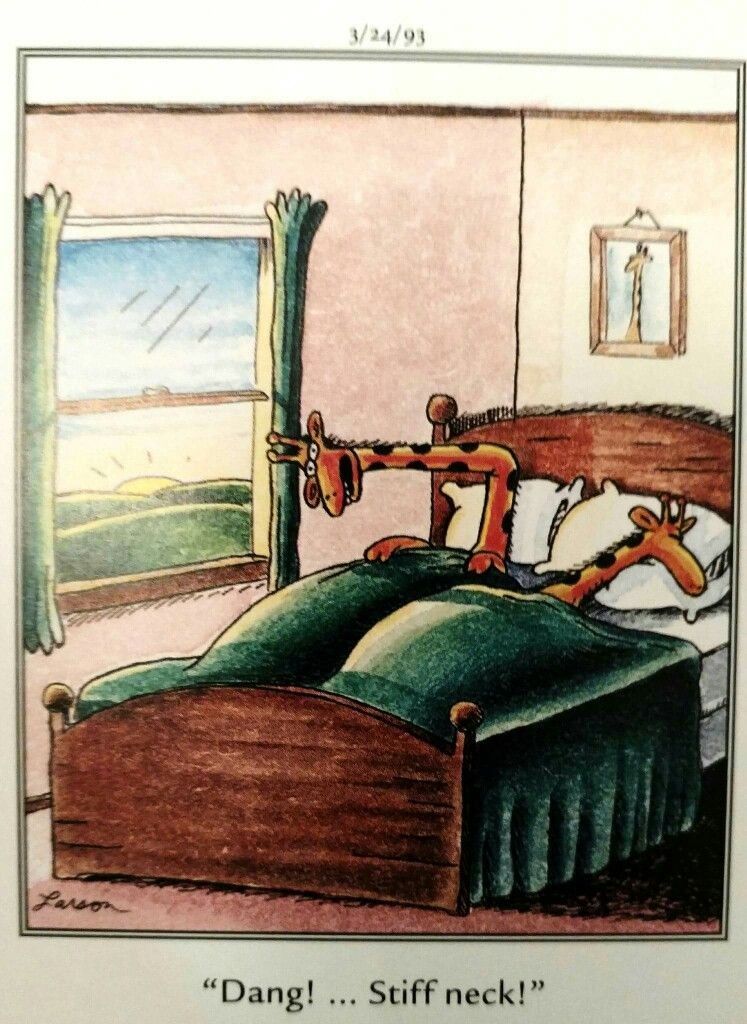 FS Comics: 20 Laugh-Out-Loud Comics You Can’t Miss in This World 11 The Far Side Dose 23