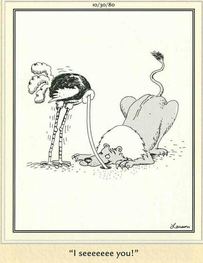 FS Comics: 20 Laugh-Out-Loud Comics You Can’t Miss in This World 12 The Far Side Dose 24