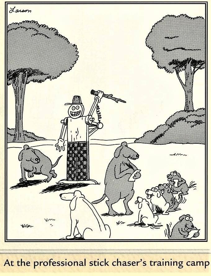 The Far Side Dose 26