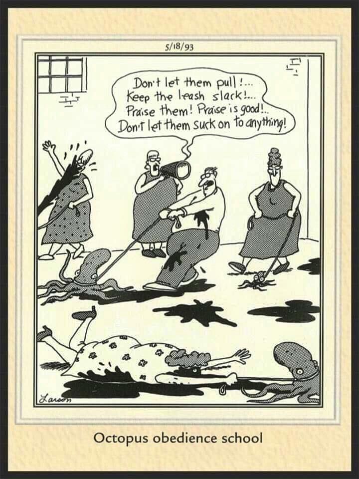 The Far Side Dose 28