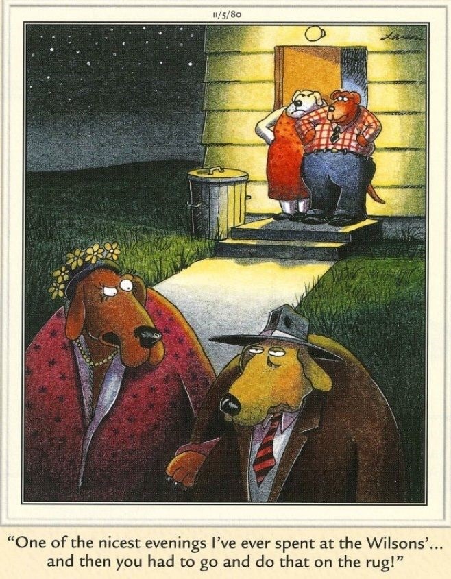 The Far Side Dose 31