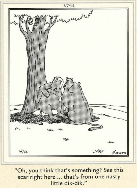 The Far Side Dose 34
