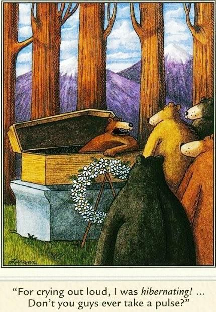 20 Humor Side Comics With A Surprising Spin 10 the far side comics