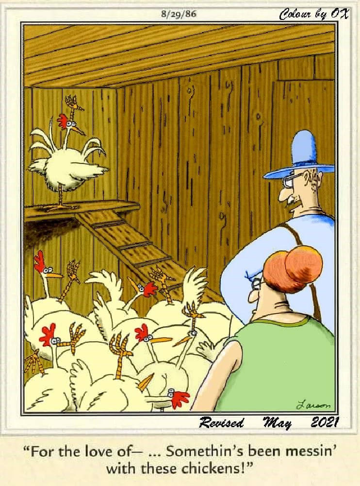 FS Comics: 20 Funniest Comics That Will Make You Laugh Out Loud 7 The Far Side Dose 4