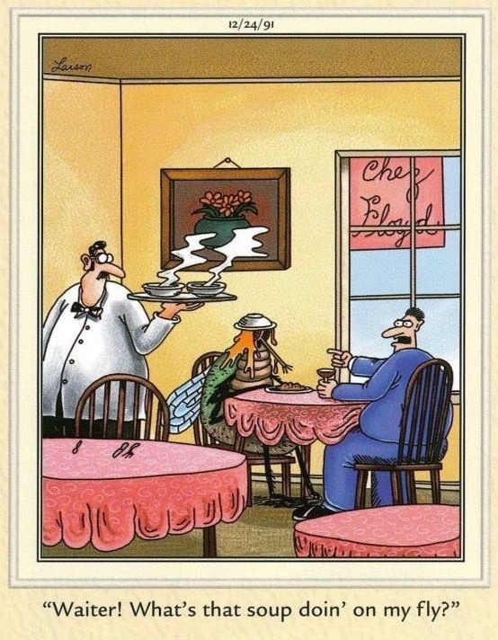 FS Comics: 20 Funniest Comics That Will Make You Laugh Out Loud 8 The Far Side Dose 4