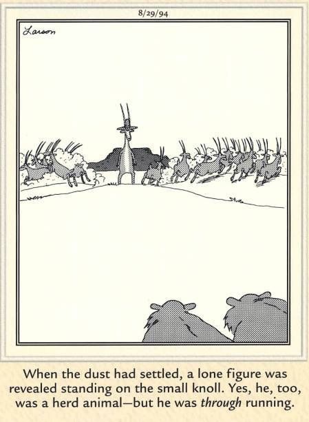 Best FS Comics: 20 Side-Splitting Comics That Will Crack You Up 7 The Far Side Dose 40