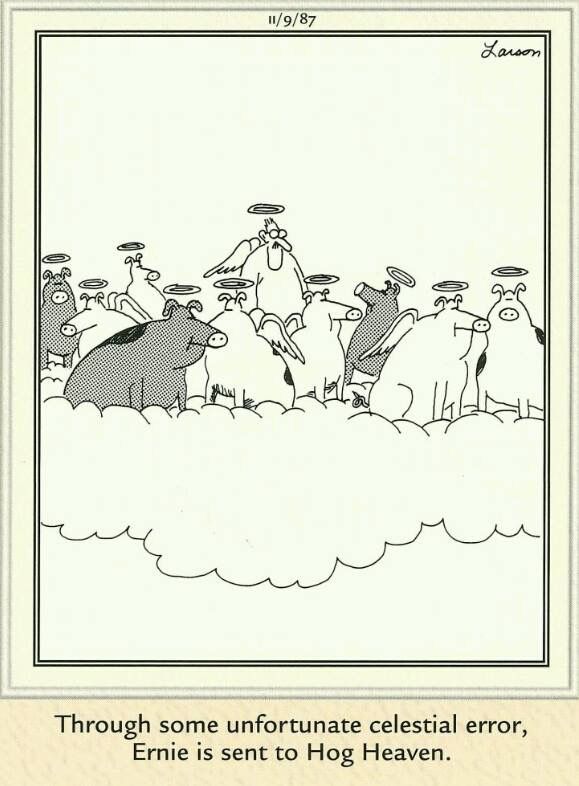 Best FS Comics: 20 Side-Splitting Comics That Will Crack You Up 10 The Far Side Dose 43
