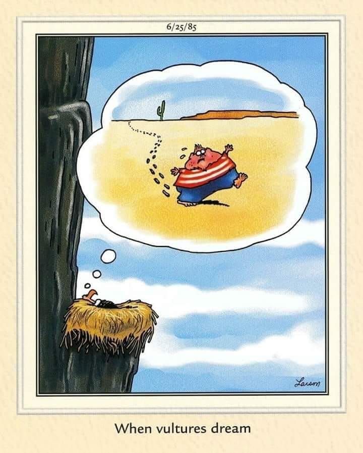 Best FS Comics: 20 Side-Splitting Comics That Will Crack You Up 11 The Far Side Dose 44