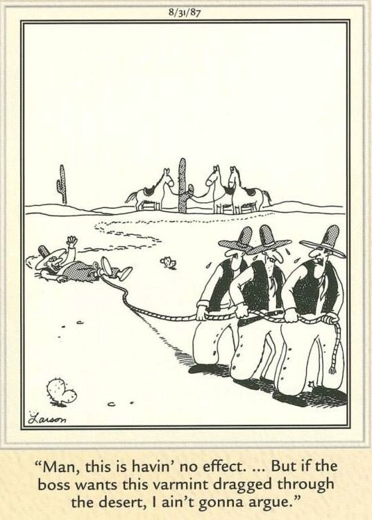 20 Humor Side Comics With A Surprising Spin 11 the far side comics