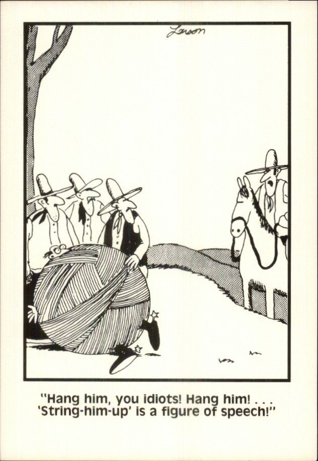 The Far Side Dose 49