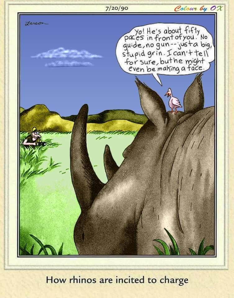 FS Comics: 20 Funniest Comics That Will Make You Laugh Out Loud 10 The Far Side Dose 5