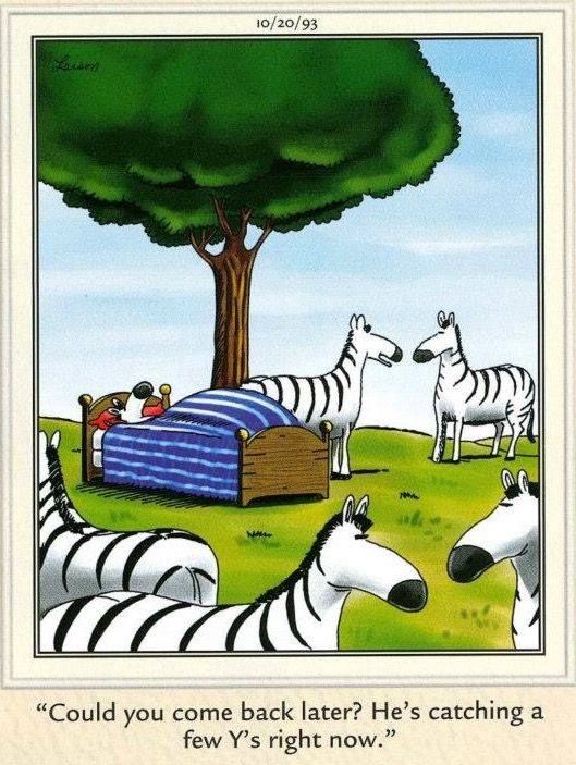 The Far Side Dose 54