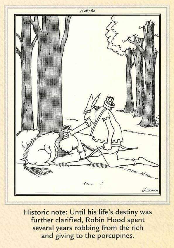 FS Comics: 20 Best Funny Comics to Instantly Boost Your Mood 4 The Far Side Dose 57