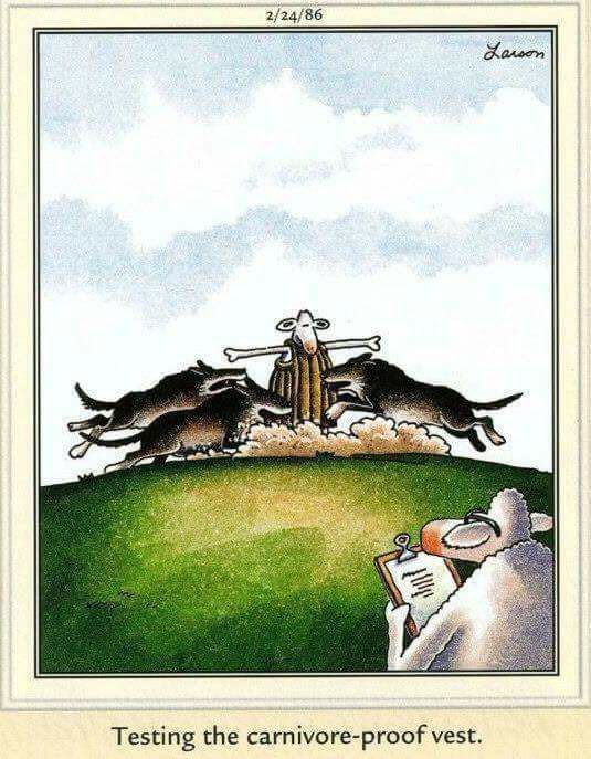 FS Comics: 20 Best Funny Comics to Instantly Boost Your Mood 5 The Far Side Dose 58