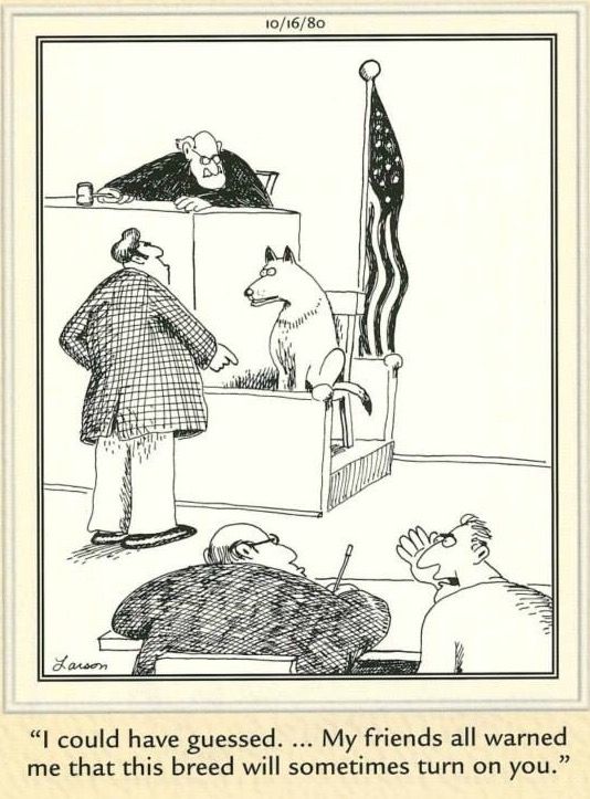 20 Humor Side Comics With A Surprising Spin 7 the far side comics