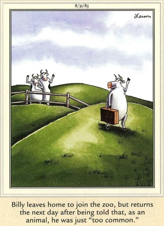 FS Comics: 20 Best Funny Comics to Instantly Boost Your Mood 7 The Far Side Dose 60