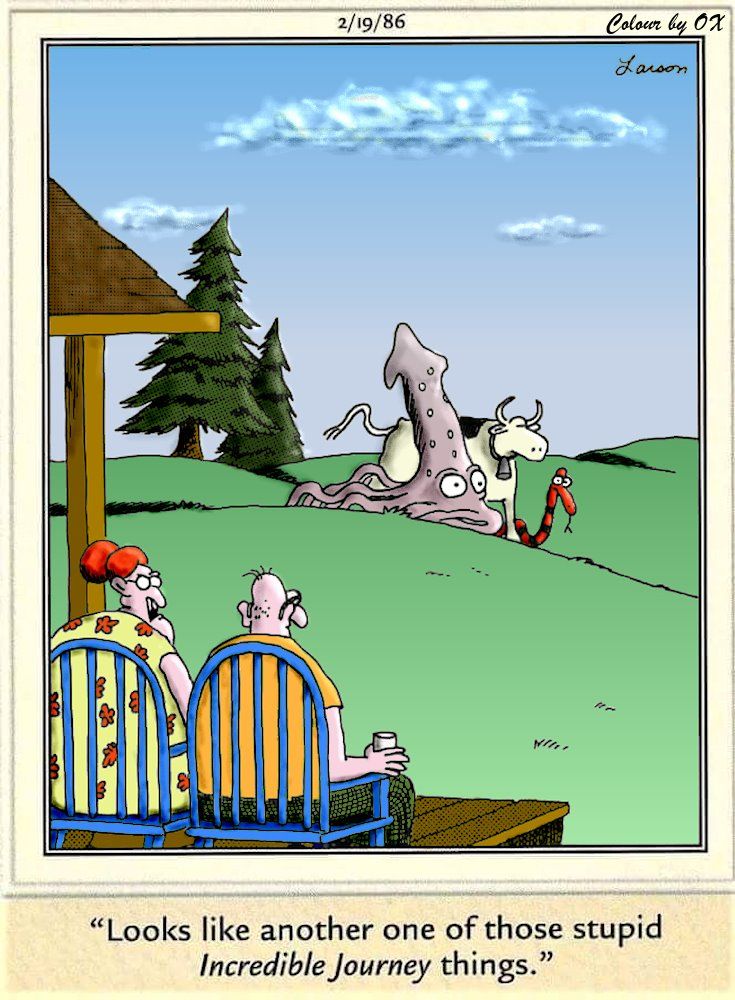 FS Comics: 20 Best Funny Comics to Instantly Boost Your Mood 9 The Far Side Dose 62