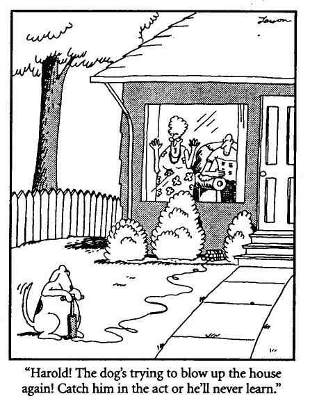 20 Humor Side Comics With A Surprising Spin 13 The Far Side Dose 65
