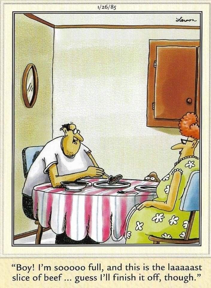 FS Comics: 20 Laugh-Inducing Comics That Everyone Will Love 4 The Far Side Dose 66