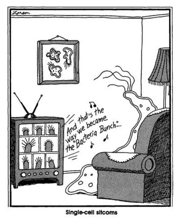 FS Comics: 20 Laugh-Inducing Comics That Everyone Will Love 5 The Far Side Dose 67