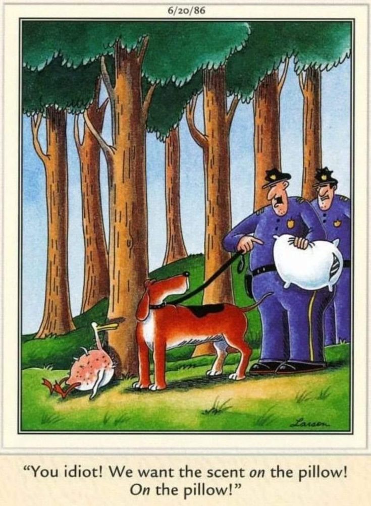 The Far Side Dose 7