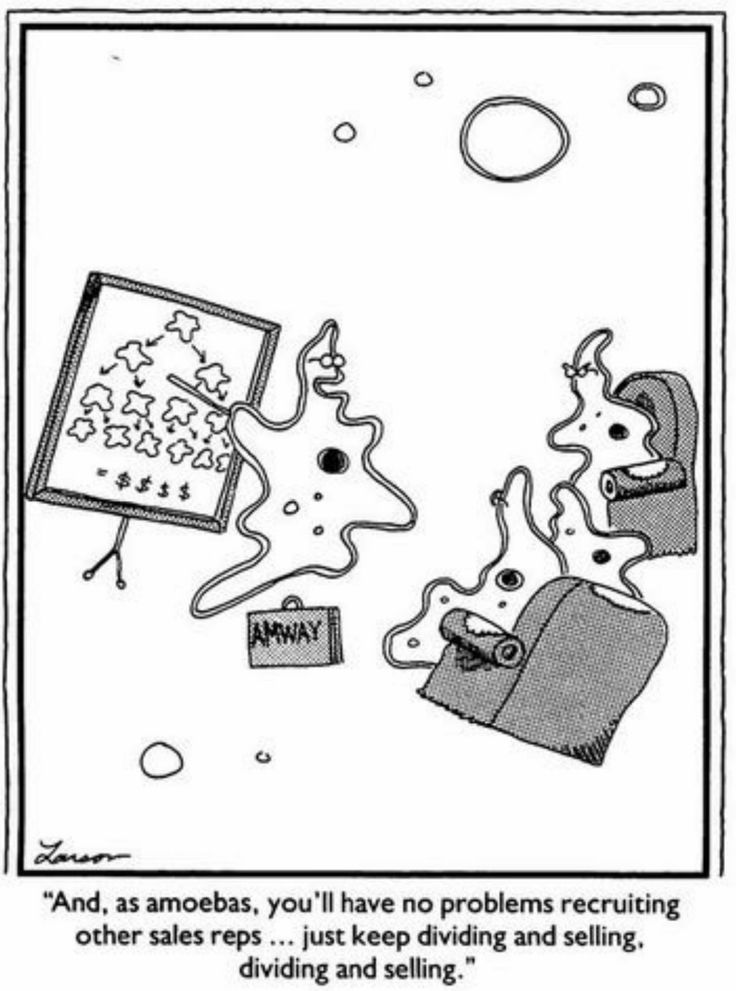 FS Comics: 20 Laugh-Inducing Comics That Everyone Will Love 9 The Far Side Dose 71