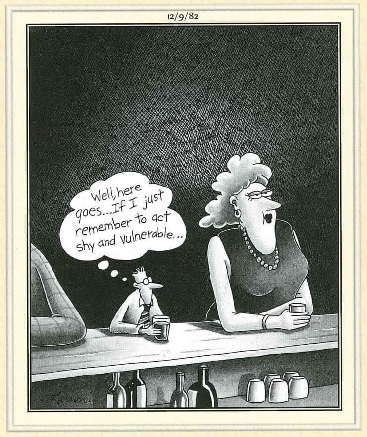 20 Best Funny Comics To Lift Your Life 3 the far side comics