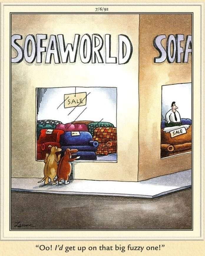 20 Best Funny Comics To Lift Your Life 4 the far side comics