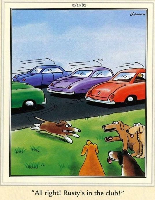 20 Humor Side Comics With A Surprising Spin 5 the far side comics