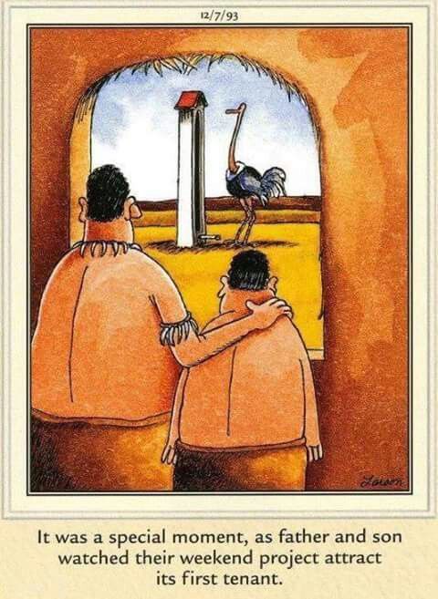 20 Funniest FS Comics To Make Everyone LOL 5 The Far side 18